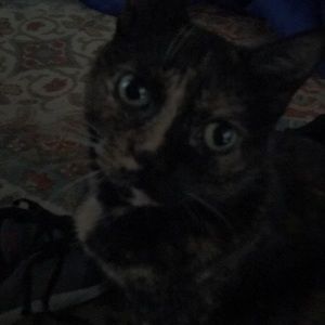 Meet your Posher, Karla